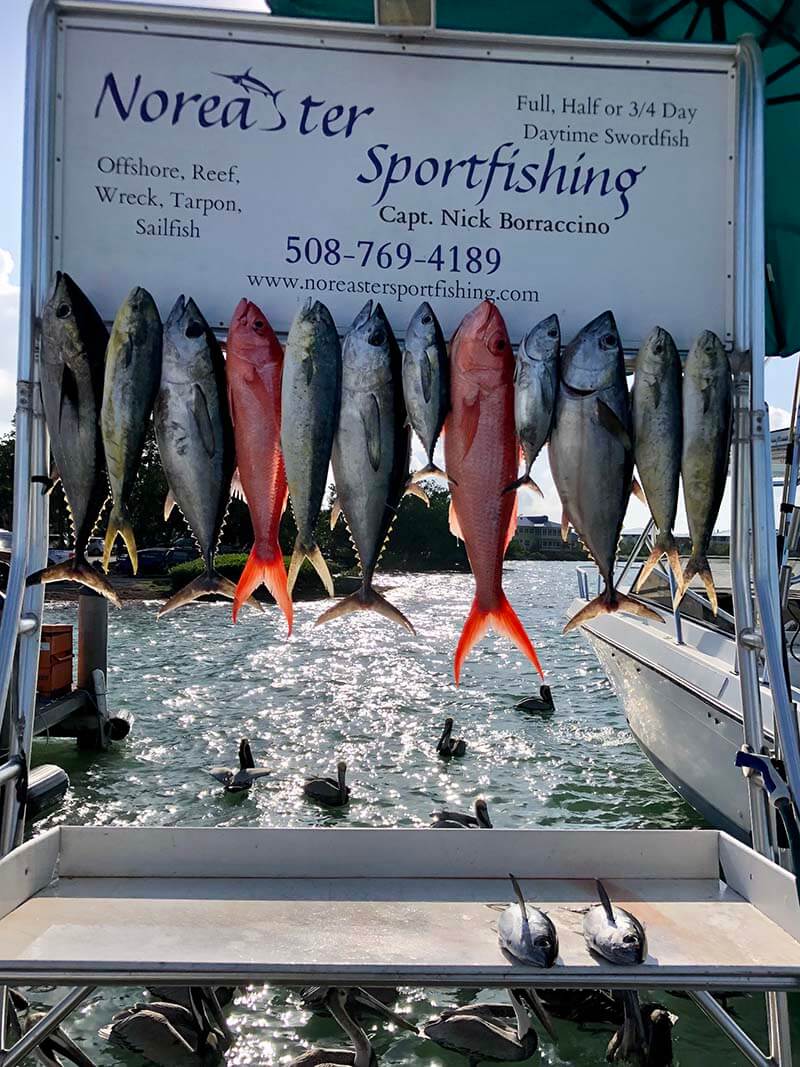 Charter and Sport FishingIMG 5670