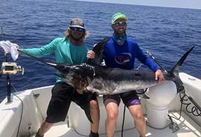 shark fishing florida keys